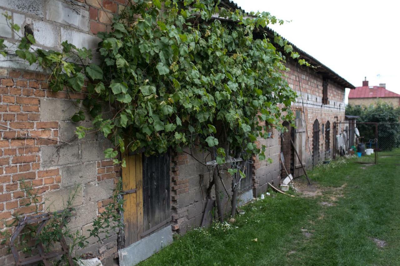 Agroturystyka Karpinscy Візна Екстер'єр фото